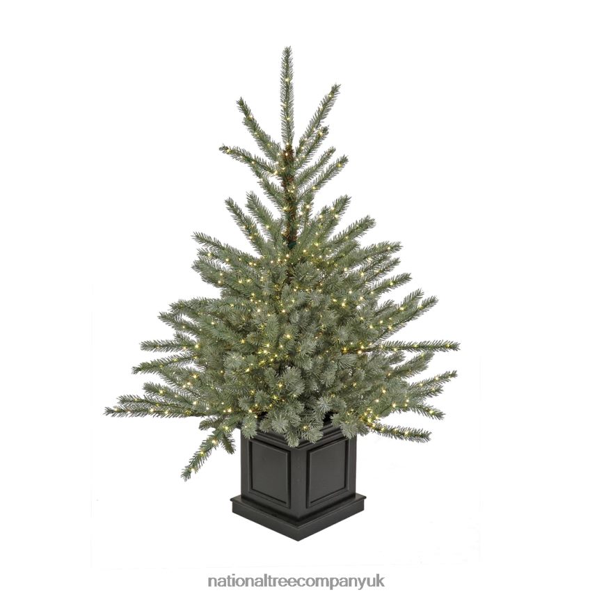Trees | National Tree Company Pre-Lit Artificial Christmas Entrance Tree, Blue Evergreen , Dual Rice LED Lights, Plug in, 48 in F2L4F71