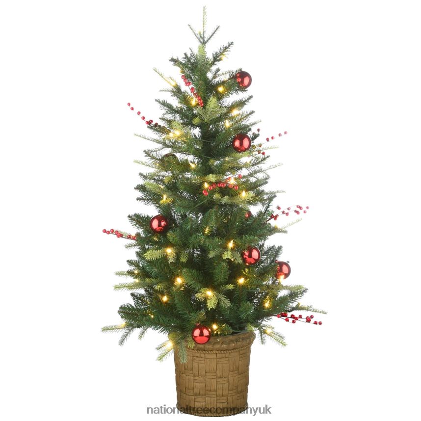 Trees | National Tree Company Pre-Lit Artificial Christmas Entrance Tree, Scotch Creek Fir, with Warm White LED Lights, Plug in, 4 ft F2L4F94