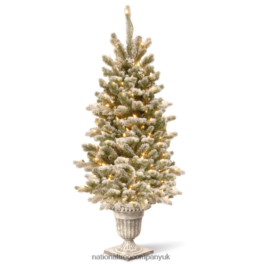 Trees | National Tree Company Pre-Lit Artificial Christmas Entrance Tree, Snowy Sheffield Spruce with Twinkly LED Lights, Plug in, 4 ft F2L4F138