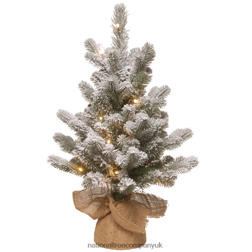 Trees | National Tree Company Pre-Lit Artificial Christmas Tree, Green, Snowy Sheffield Spruce, White LED Lights, Includes Cloth Bag Base, Battery Operated, 24 Inches F2L4F177