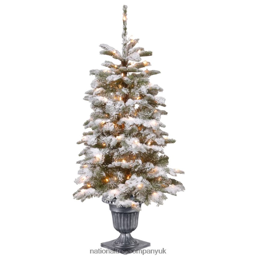 Trees | National Tree Company Pre-Lit Artificial Entrance Christmas Tree, Snowy Camden, Green, White Lights, Includes Metal Base, 4 Feet F2L4F149