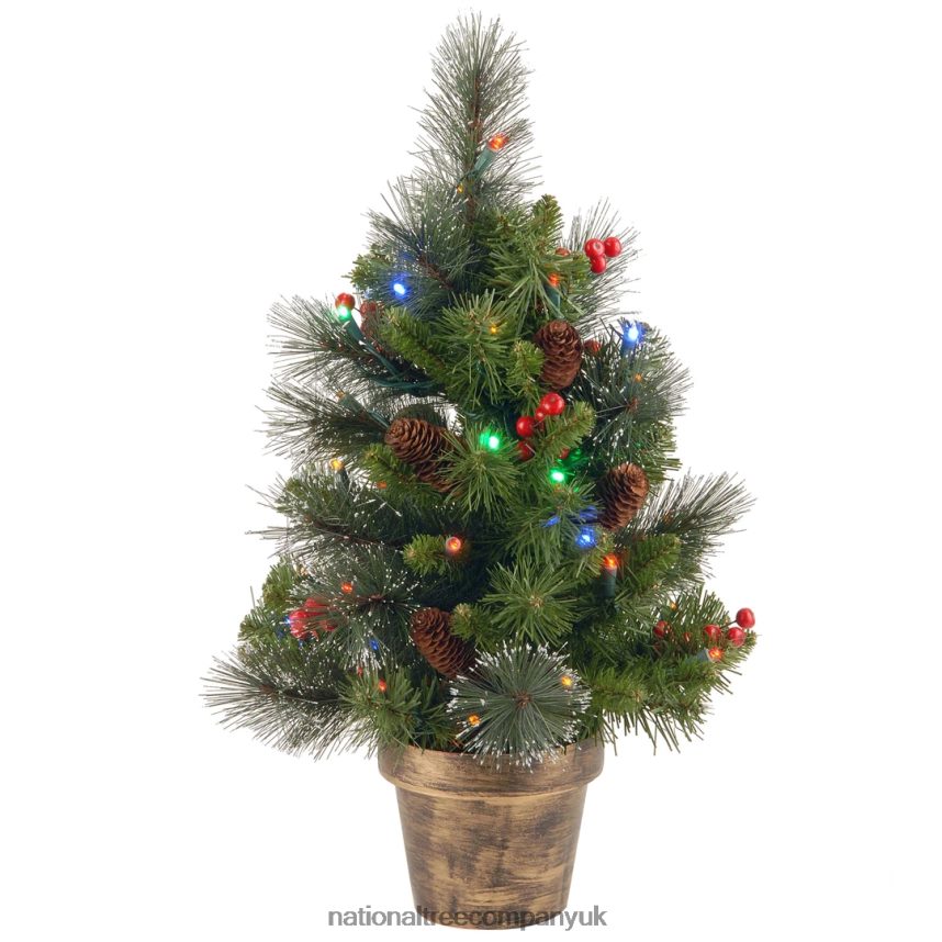 Trees | National Tree Company Pre-Lit Artificial Mini Christmas Tree, Green, Crestwood Spruce, Multicolor Lights, Decorated with Pine Cones, Berry Clusters, Frosted Branches, Includes Pot Base, 2 Feet